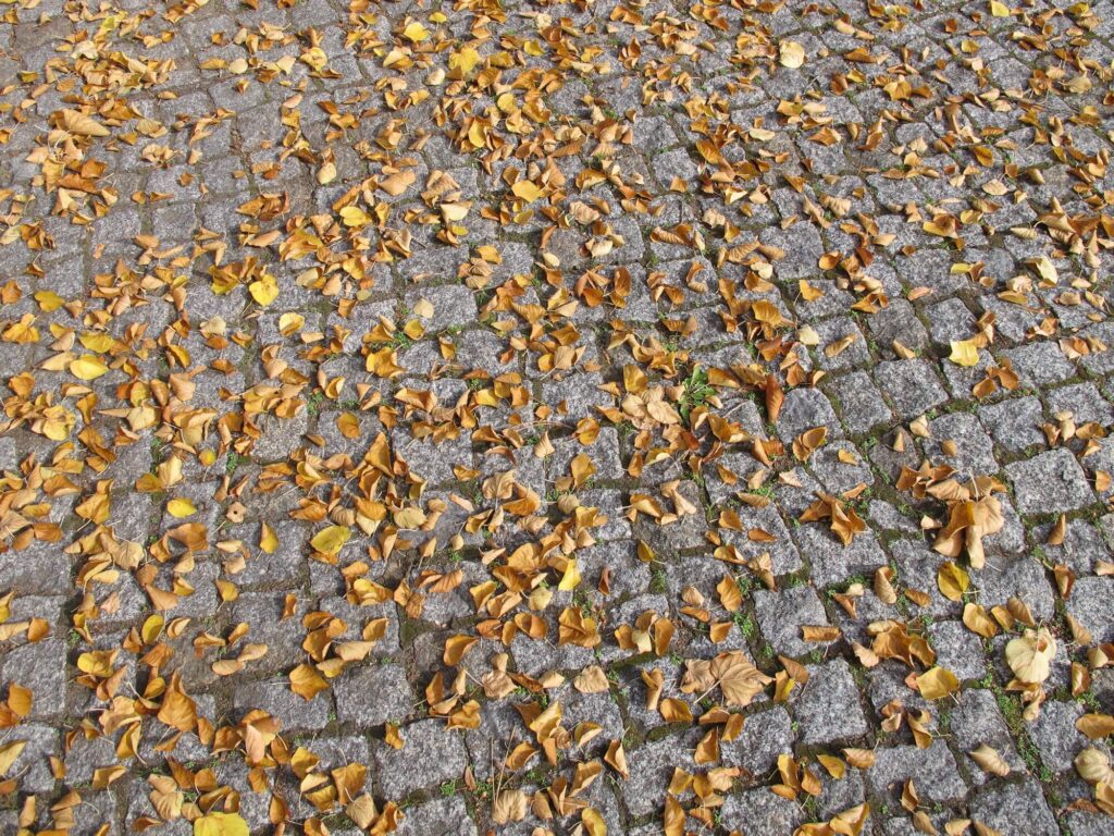 Seasonal Paver Maintenance